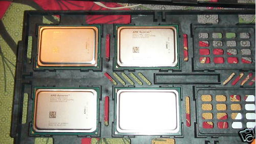 AMD Opteron AMD Opteron