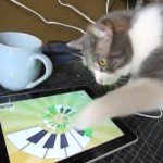 Кошки и собаки по-разному относятся к iPad