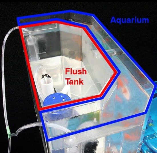 Fish Tank Toilet