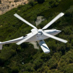 Взгляд сквозь кроны деревьев