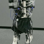 Athlete: робот — бегун и попрыгун