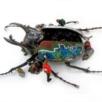 Насекомые как вид транспорта