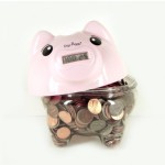 Digi-Piggy – умная хрюшка, охраняющая капитал