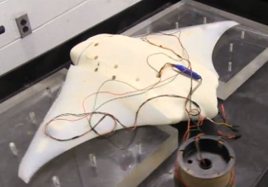 mantabot Подводный робот, которого не отличишь от ужасного ската