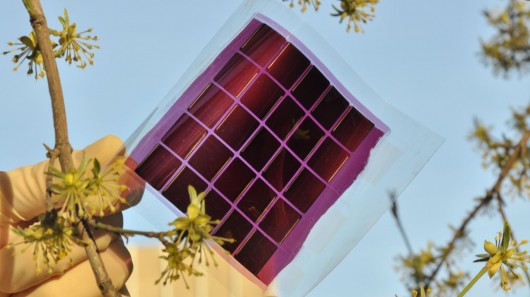 organic solar cells