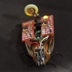 Попробуй управлять тараканом через Твиттер