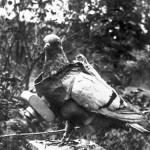 Zemanta Related Posts Thumbnail