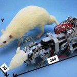 Робот WR-3, гроза лабораторных мышей