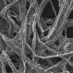 Ученые создают нано-батареи из дерева