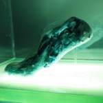 3D-напечатанная обувь может самостоятельно чиниться 