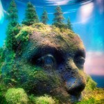 Говорящие растения однажды сообщат, что не так происходит на планете