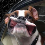 5G-скорость в Южной Корее позволит загружать фильм за одну секунду