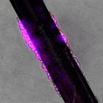 Оптоволокно может диагностировать болезни изнутри