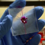 Пластмасса может самовосстанавливаться после поломки