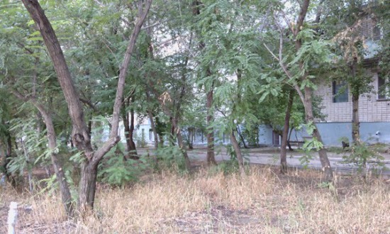 SENSEIT R390 – идеальный вариант для любителей «умных» телефонов